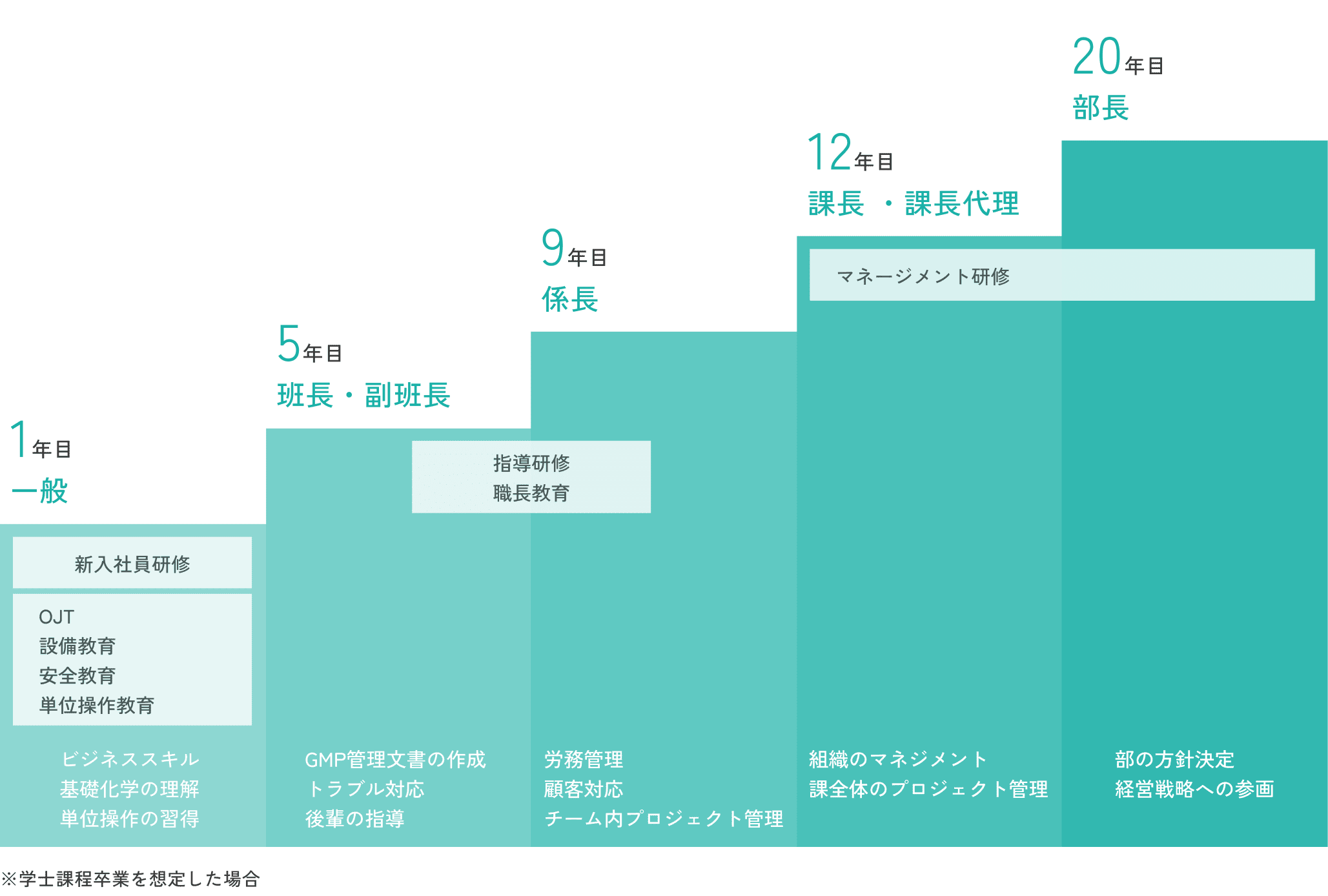 製造総合職のキャリアパス イメージ